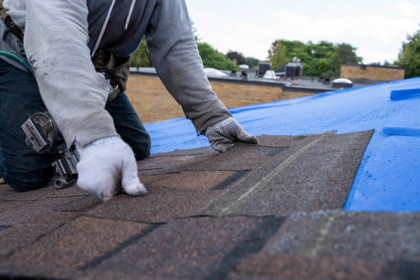 Best Sealant for Roof  in Ames Lake, WA