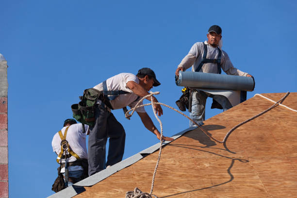 Best Roof Maintenance Services  in Ames Lake, WA