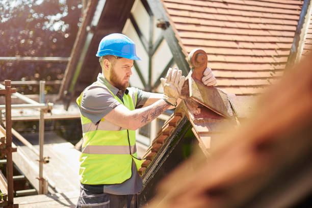 Professional Roofing Contractor in Ames Lake, WA