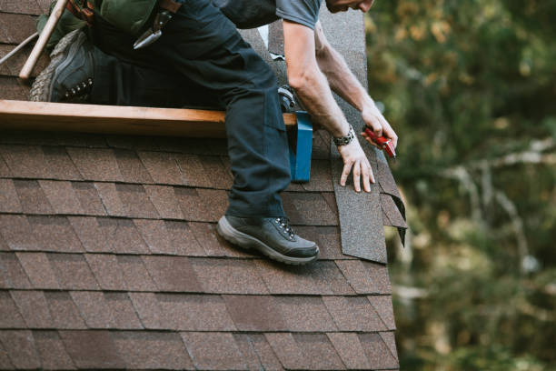 Best Roof Waterproofing Services  in Ames Lake, WA