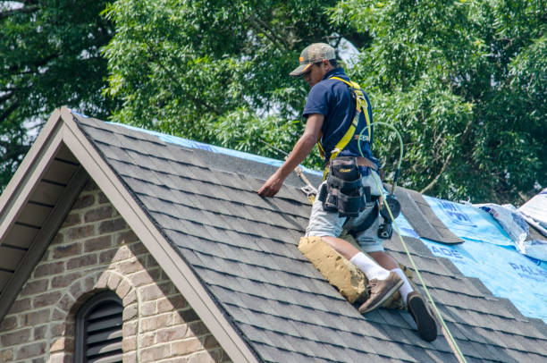 Best Roof Leak Repair  in Ames Lake, WA